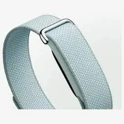 Кадр 4: Фитнес-браслет Google Fitbit Air Fog
