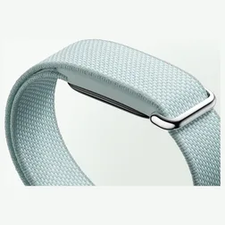 Кадр 5: Фитнес-браслет Google Fitbit Air Fog