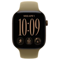Кадр 1: Apple Watch S12 46mm Dark Bronze (SB Olive M/L)